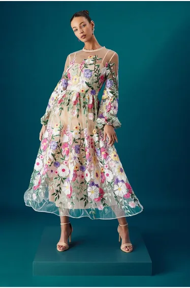 Coast Muse Long Sleeve Embroidered Maxi Dress