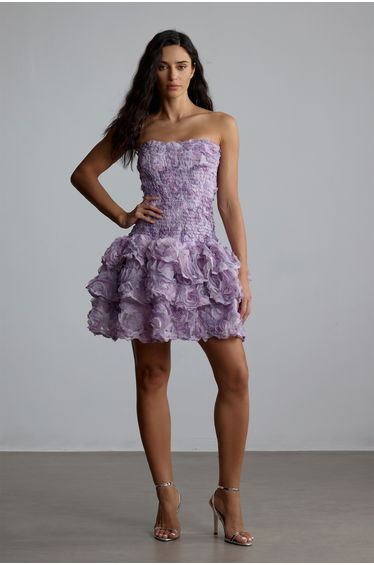 Erika Rose Applique Strapless Mini Dress