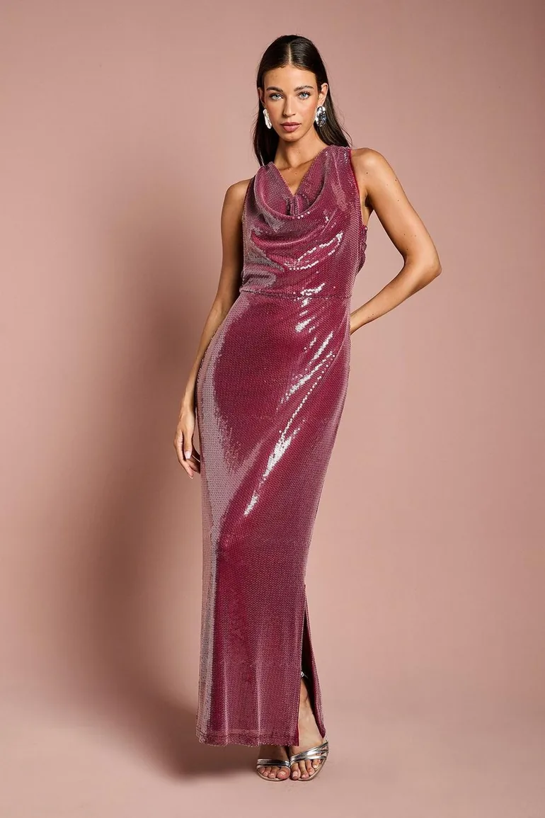 coast sequin maxi dress Women's Floral Applique Sequin Maxi Dress, Blush