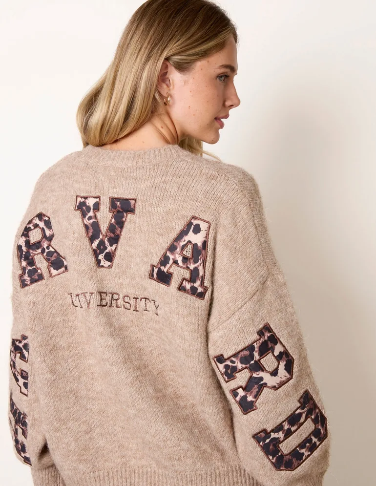 Initial Leopard Embroidered Jumper - 2