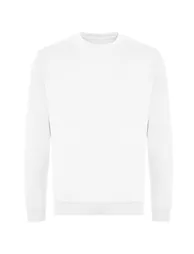 Awdis Unisex Adult Organic Sweatshirt - Arctic White
