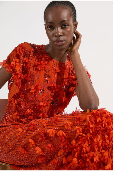 Tall Embroidery And Applique Angel Sleeve Woven Maxi Dress