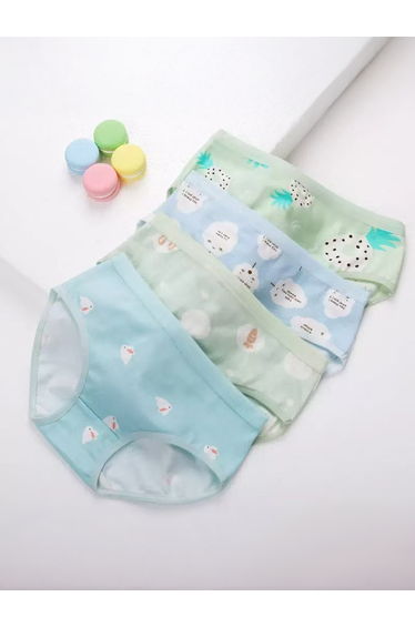 Pack of 4 - Printed Cotton Briefs