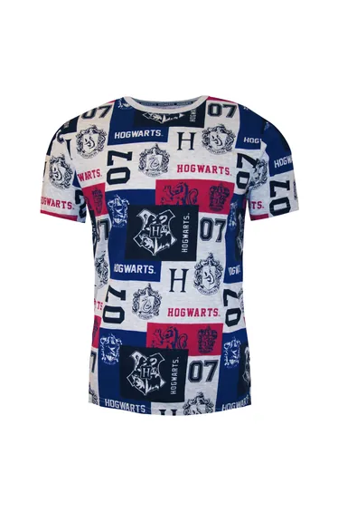 Harry Potter Mens Hogwarts Patch Print T-Shirt - Multicoloured