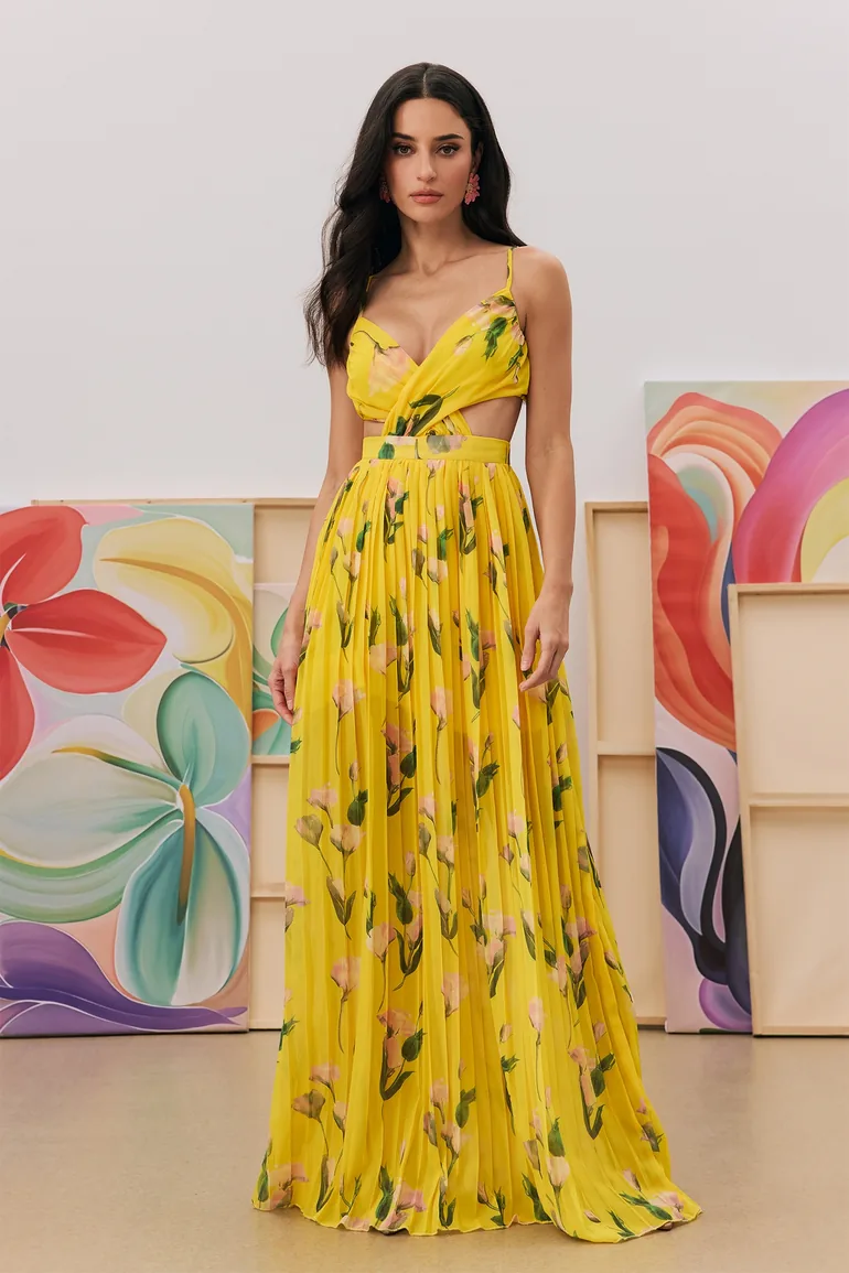 printed v-neck pleated cross back maxi dress Printed V-neck Pleated Cross Back Maxi Dress