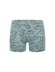 5-Pack Donella Boys' Boxer Briefs - Cotton - 4