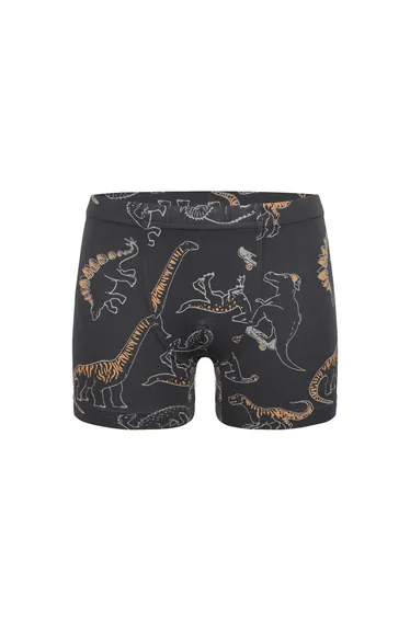 5-Pack Donella Boys' Boxer Briefs - Cotton