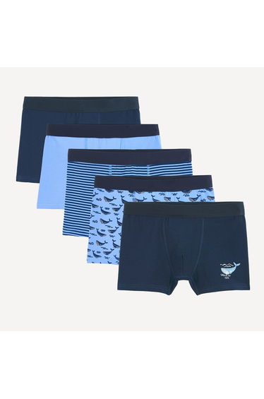 Pack of 5 Whale Theme Boxers