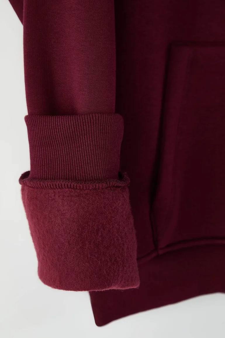 Burgundy Oversize/Wide Cut Hooded Label Inside Fleece Cotton Sweatshirt - 2