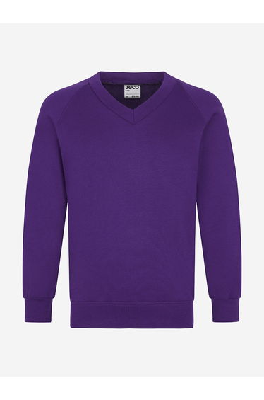 Zeco Kids School V-Neck Sweatshirt in Purple