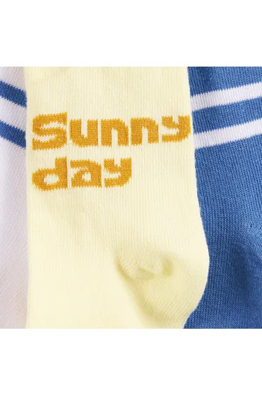 Pack of 3 Pairs of Socks