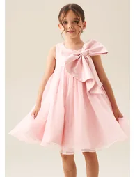 Paris Blush Bow Dress