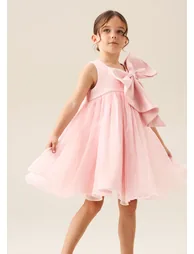 Paris Blush Bow Dress - 1