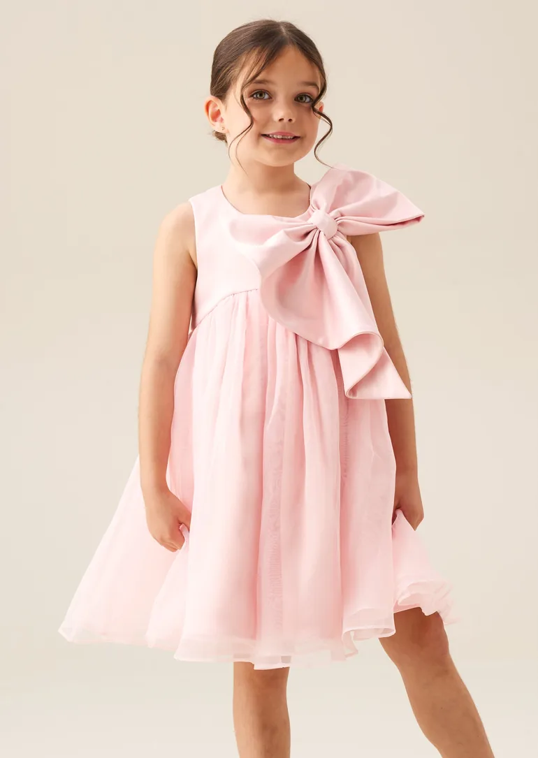 Paris Blush Bow Dress - 4