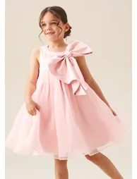 Paris Blush Bow Dress - 3