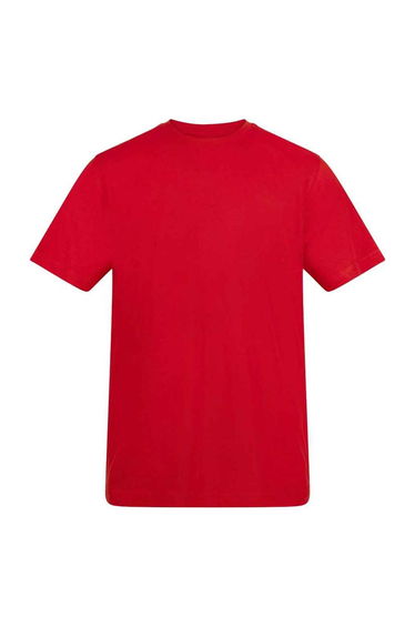 Awdis Unisex Adult T-Shirt - Fire Red