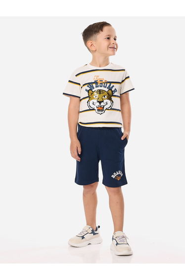 Boys Striped Graphic T-Shirt and Shorts Set