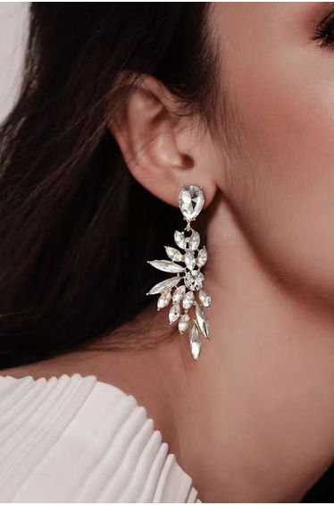 Wing Shaped Crystal Cluster Earrings