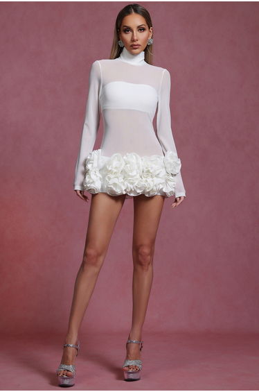 Halasa Long Sleeve Flowers Mini Dress