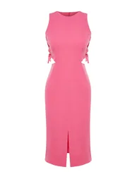 Fuchsia Sleeveless Dress - 6