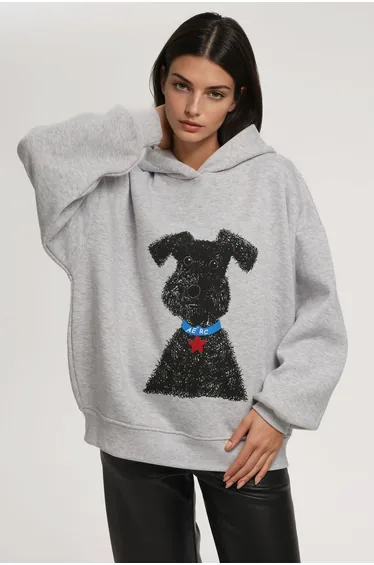 هودي هيكوب رمادي بأكمام طويلة