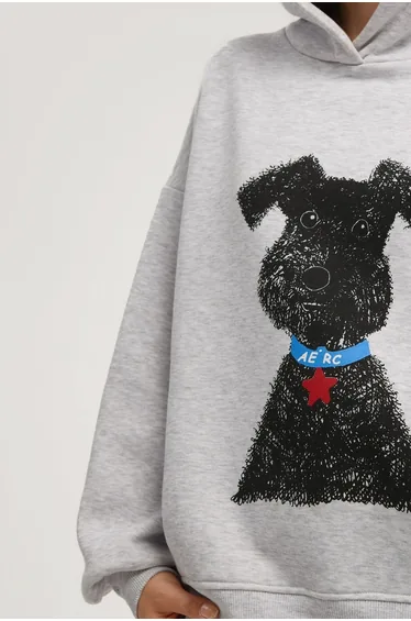 هودي هيكوب رمادي بأكمام طويلة