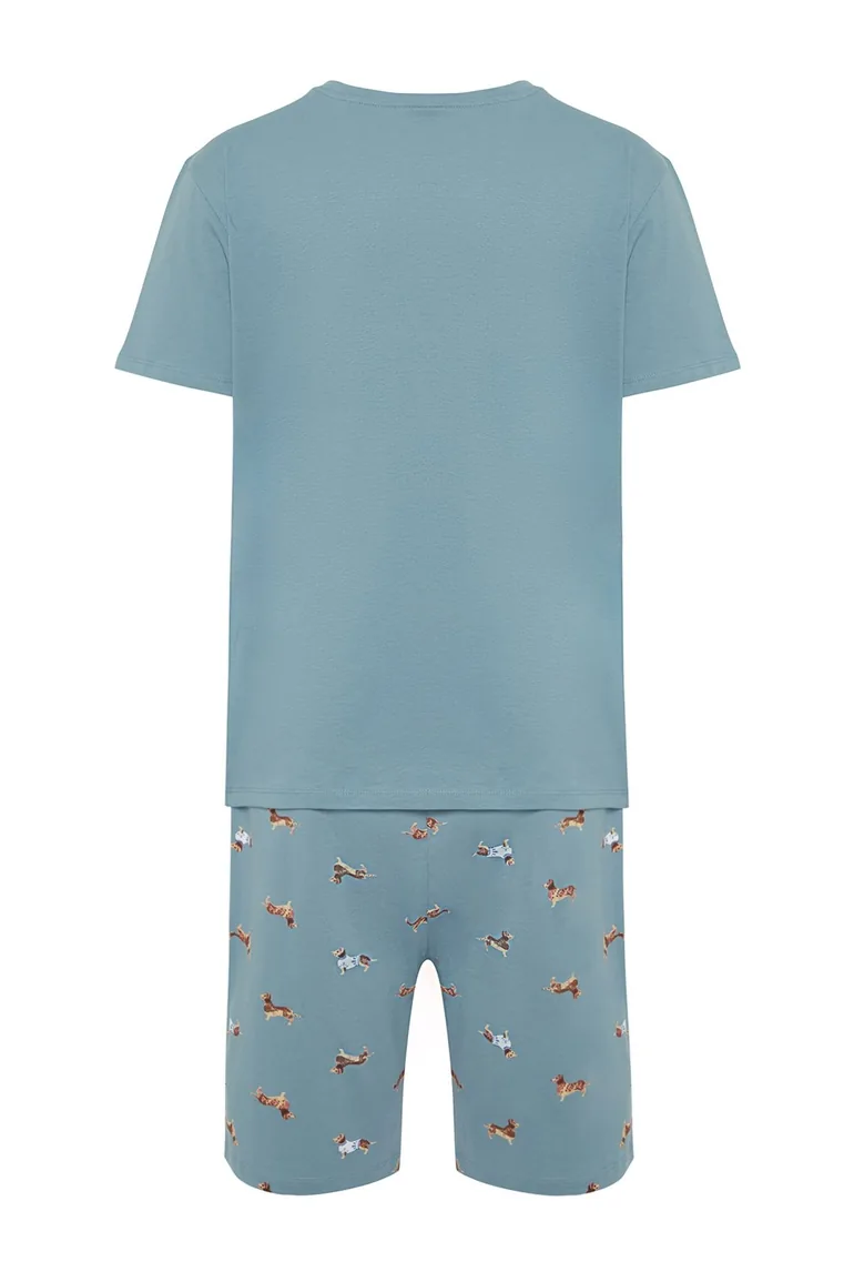 Men's Blue Regular Fit Printed Knitted Pajamas Set - 7