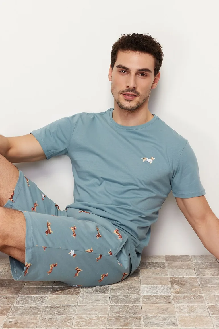 Men's Blue Regular Fit Printed Knitted Pajamas Set - 2