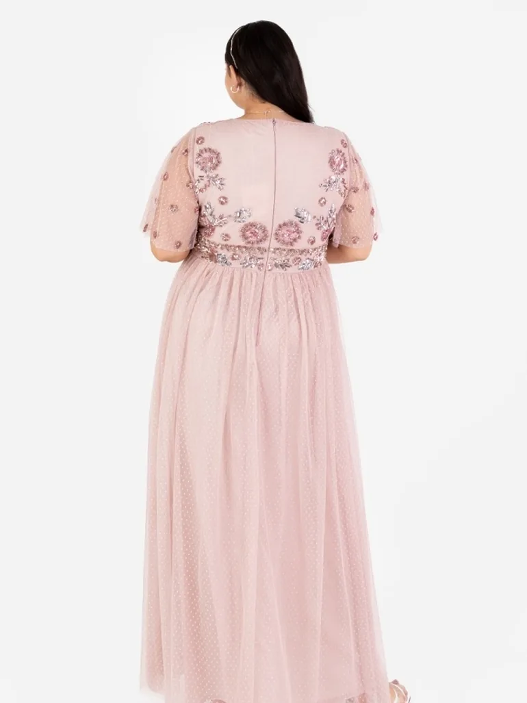 Maya Blush Floral Embellished Spot Mesh Maxi Dress - 5