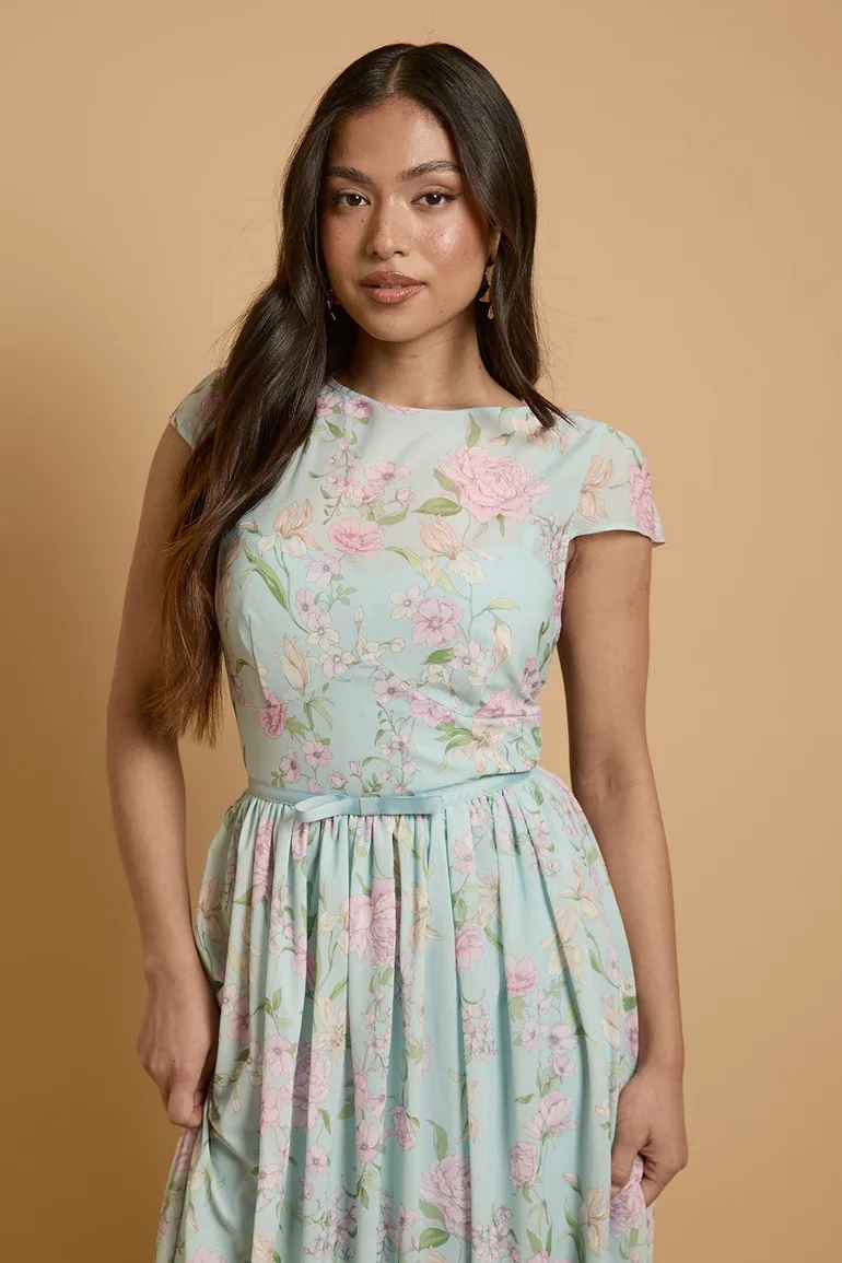 Petite Cap Sleeve Hydrangea Mesh Maxi Dress - 1
