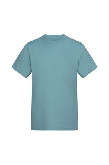 Awdis Unisex Adult Cotton T-Shirt - Seafoam
