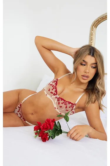 Red Mesh Embroidered Heart Underwired Lingerie Set