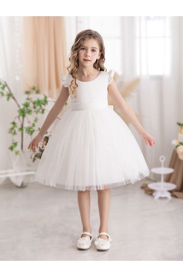 Ruffled Mesh Round Neck Fit and Flare Dress