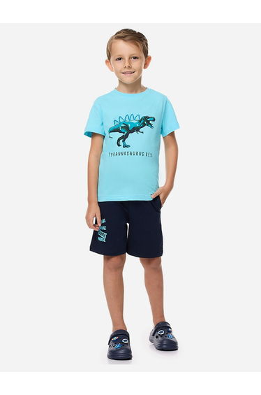 Dinosaur Graphic Print T-Shirt and Drawstring Shorts Set