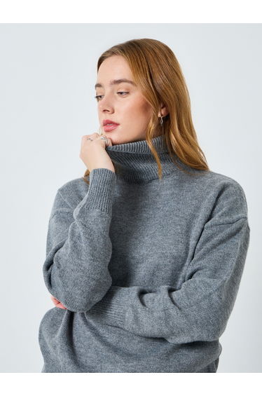 Women Solid Turtle Neck Long Sleeve Sweater