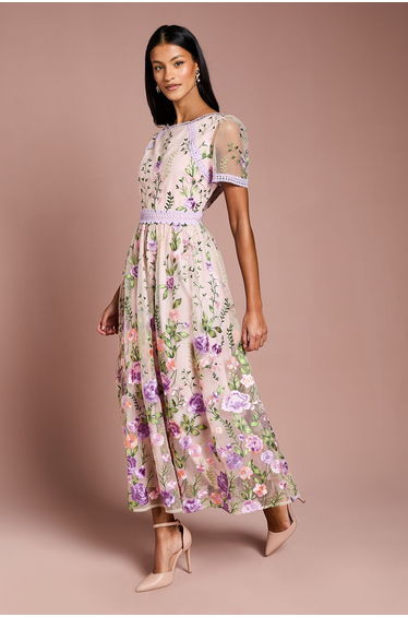 Petite Lace Trim Detail Embroidered Mesh Dress
