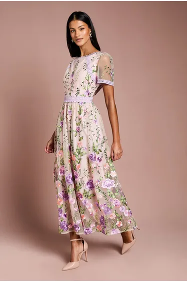 Petite Lace Trim Detail Embroidered Mesh Dress