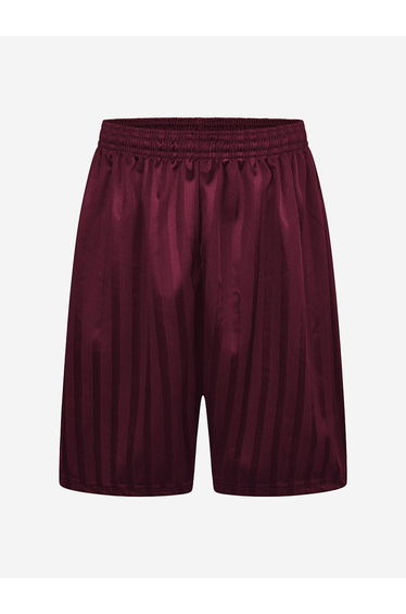 Zeco Kids School Shadow Stripe Shorts in Purple