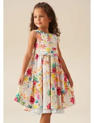 Seren Print Stripe Sash Waist Dress - Multi - 4