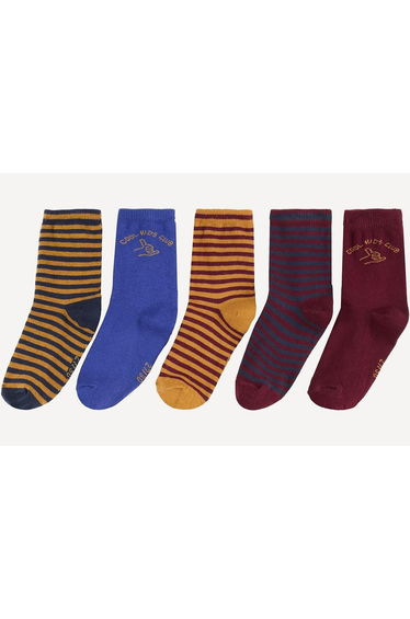 Pack of 5 Pairs of Socks