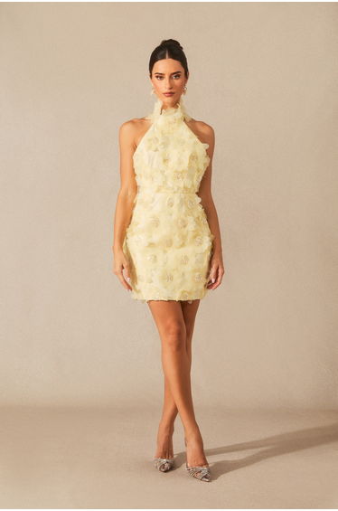 Celeste Halter Neck Floral Embellished Mini Dress