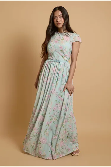 Petite Cap Sleeve Hydrangea Mesh Maxi Dress