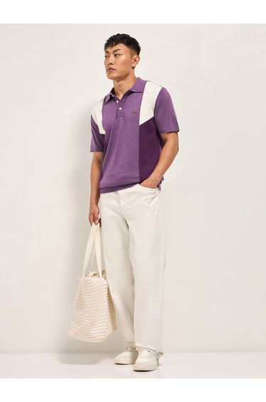 Men Color Block Cotton Regular Fit Polo