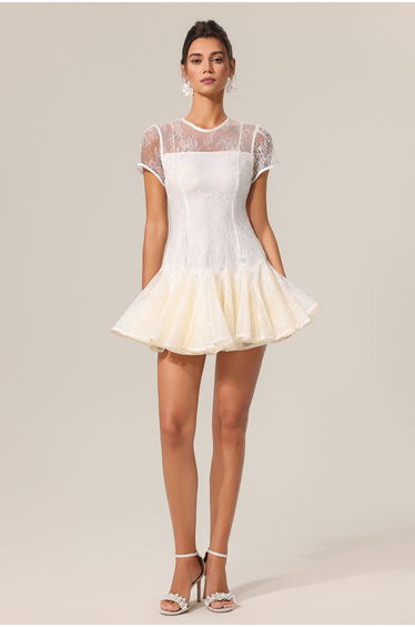 Rakel Round Neck Short Sleeves Jacquard Folds Mini Dress