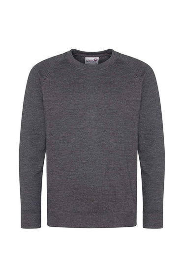 Awdis Childrens/Kids Academy Raglan Sweatshirt - Charcoal