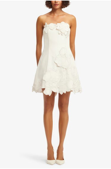 Inga Cream White Strapless Floral Embroidered Mini Dress