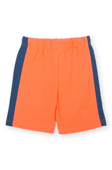 Corfe Shorts Tangerine