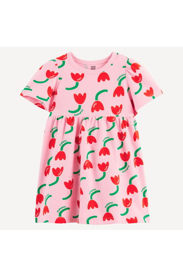 Floral Print Dress with Short Sleeves