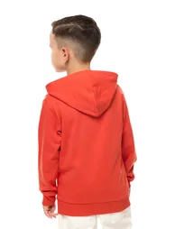 Victor and Jane Boys' Hoodie - 2