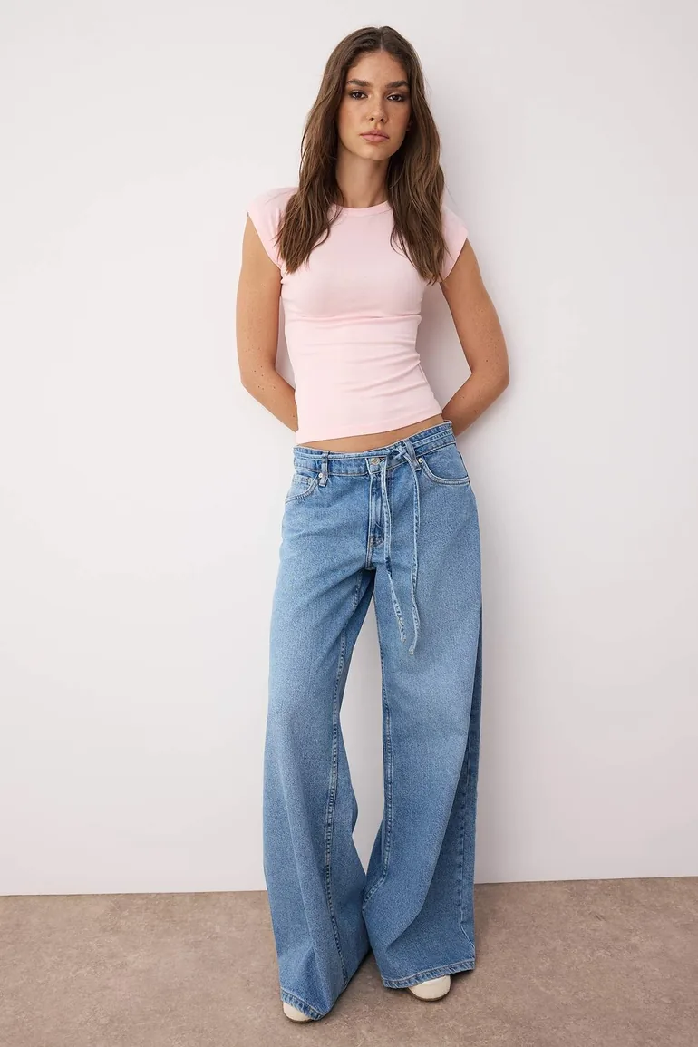 Light Pink Premium Viscose/Soft Fabric Fitted/Slim Fit Moon Sleeve Stretch Knitted Blouse
